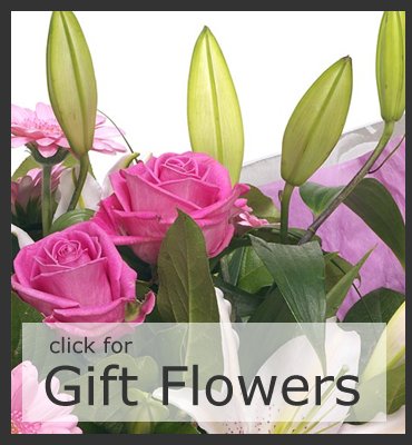 Send Flowers Swansea