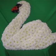 Swan funeral tribute