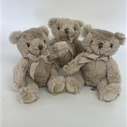 James junior teddy